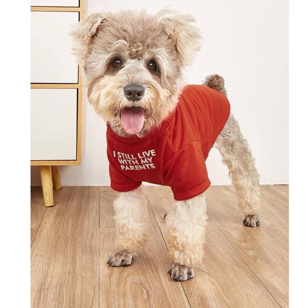 Slogan Graphic Pet Tee 🐕